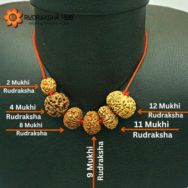Rudraksha for Civil Servants