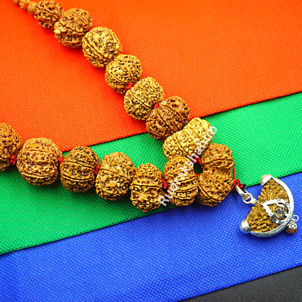 1-14 Mukhi Siddha Rudraksha Mala (Nepali)