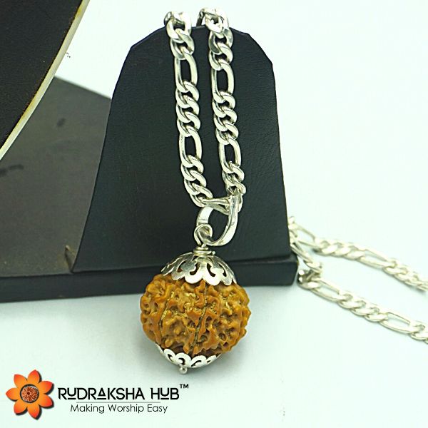 9 Mukhi Nepali Rudraksha In Pure Silver Chain