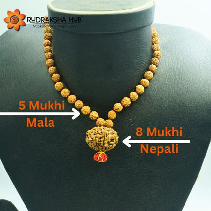Rudraksha for Rahu Dosh