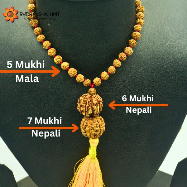 Rudraksha for Businessmen