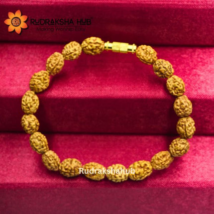 3 Mukhi Rudraksha Bracelet