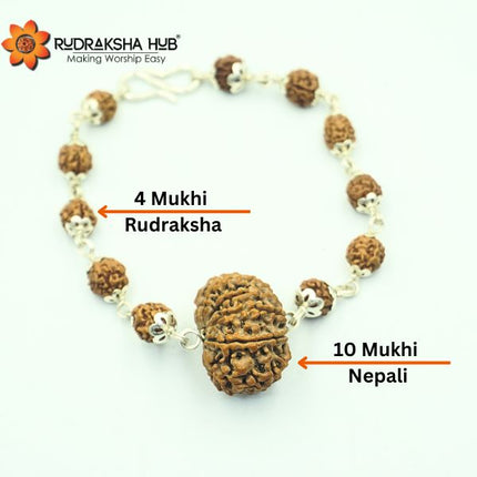Rudraksha for Team Leaders