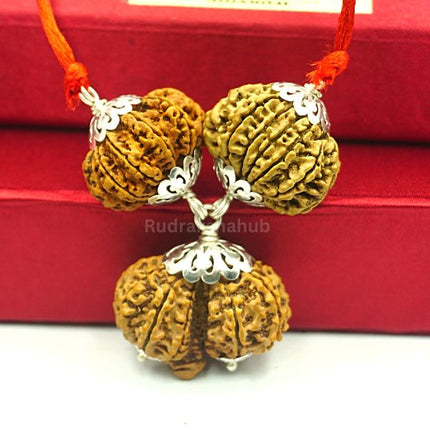 Rudraksha for Better Intimacy