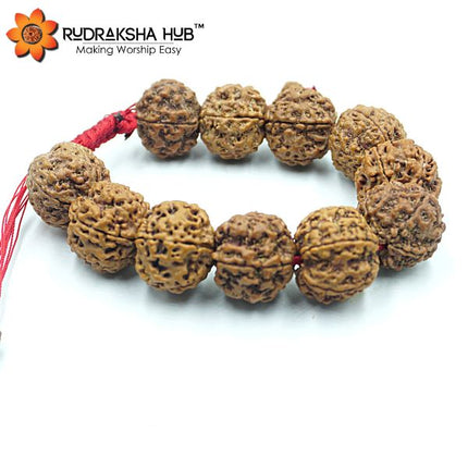 5 मुखी रुद्राक्ष कंगन (समायोज्य)
