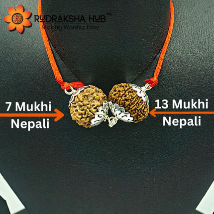 Two Rudraksha beads with labels on a dark background