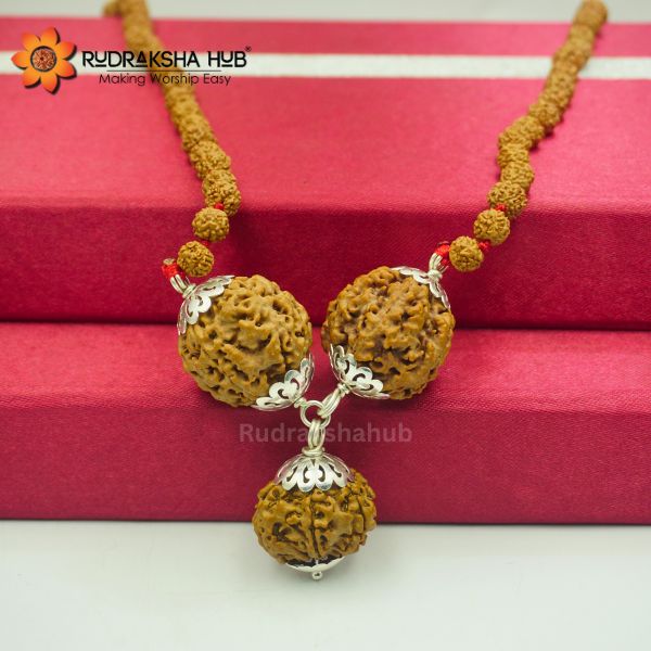 Rudraksha for Family Safety