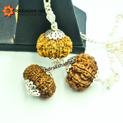 Rudraksha for Power and Protection