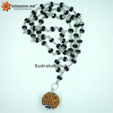 Rudraksha for Meditation and Peace
