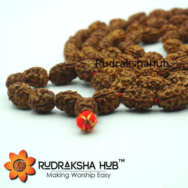 3 Mukhi Rudraksha Mala