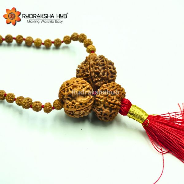 Rudraksha for Name and Fame