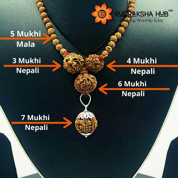 Rudraksha for Well Being
