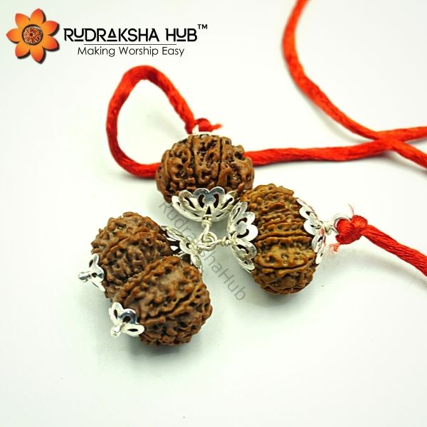 Rudraksha for Well Settled Married Life