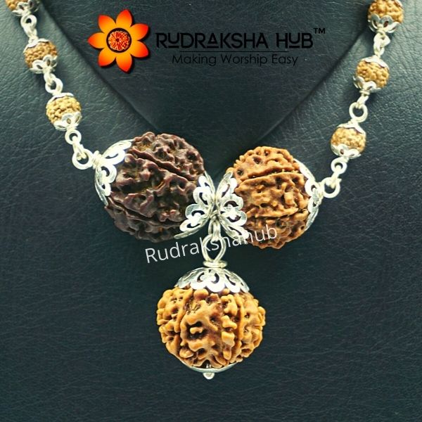 Rudraksha for working professionals