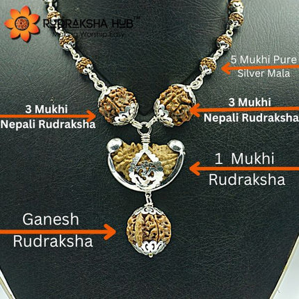 Rudraksha For Knowledge & Power