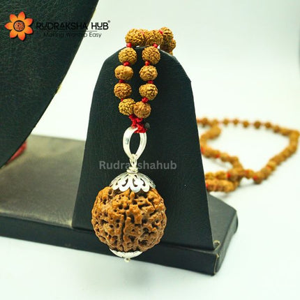 Rudraksha for Health