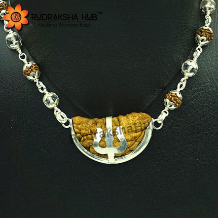 Rudraksha for Peace and Power