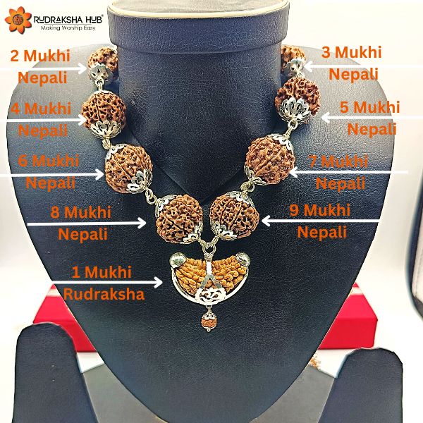 Necklace with various mukhi Nepali and Rudraksha beads on a mannequin.