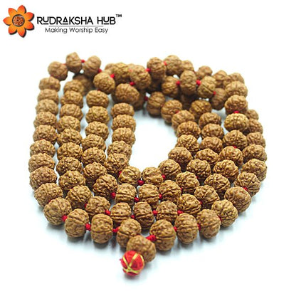 Rudraksha Jaap Mala 10mm