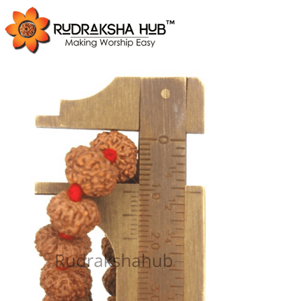 9 मुखी रुद्राक्ष माला