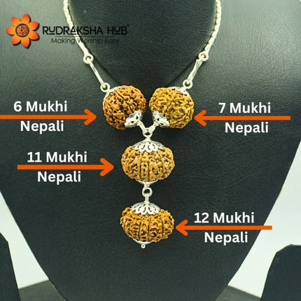 प्रसिद्धि और लोकप्रियता के लिए रुद्राक्ष