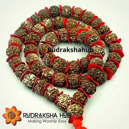 Jaagrit Rudraksha Kantha Mala Energised