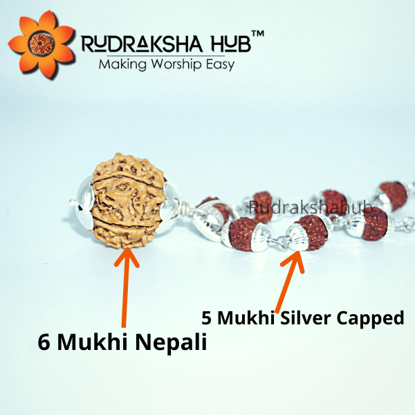 6 Mukhi Rudraksha in Silver Mala