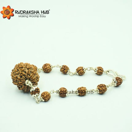Rudraksha for Team Leaders