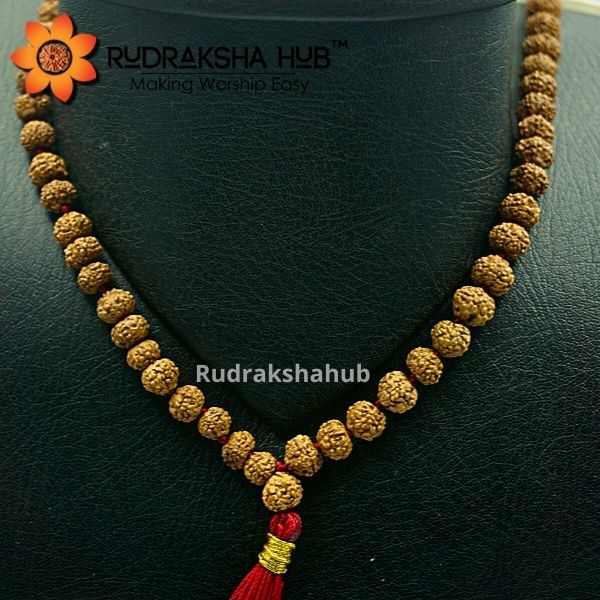 5 मुखी रुद्राक्ष माला 5 मिमी लैब प्रमाणित