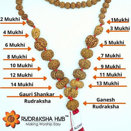 1-14 मुखी सिद्ध माला (इंडोनेशियाई)