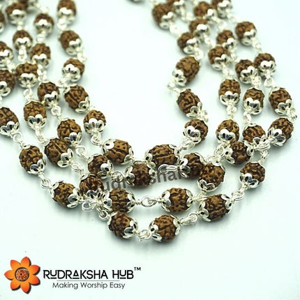 Rudraksha for General Health Benefits