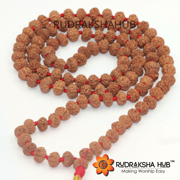 10 Mukhi(Face) Rudraksha Mala